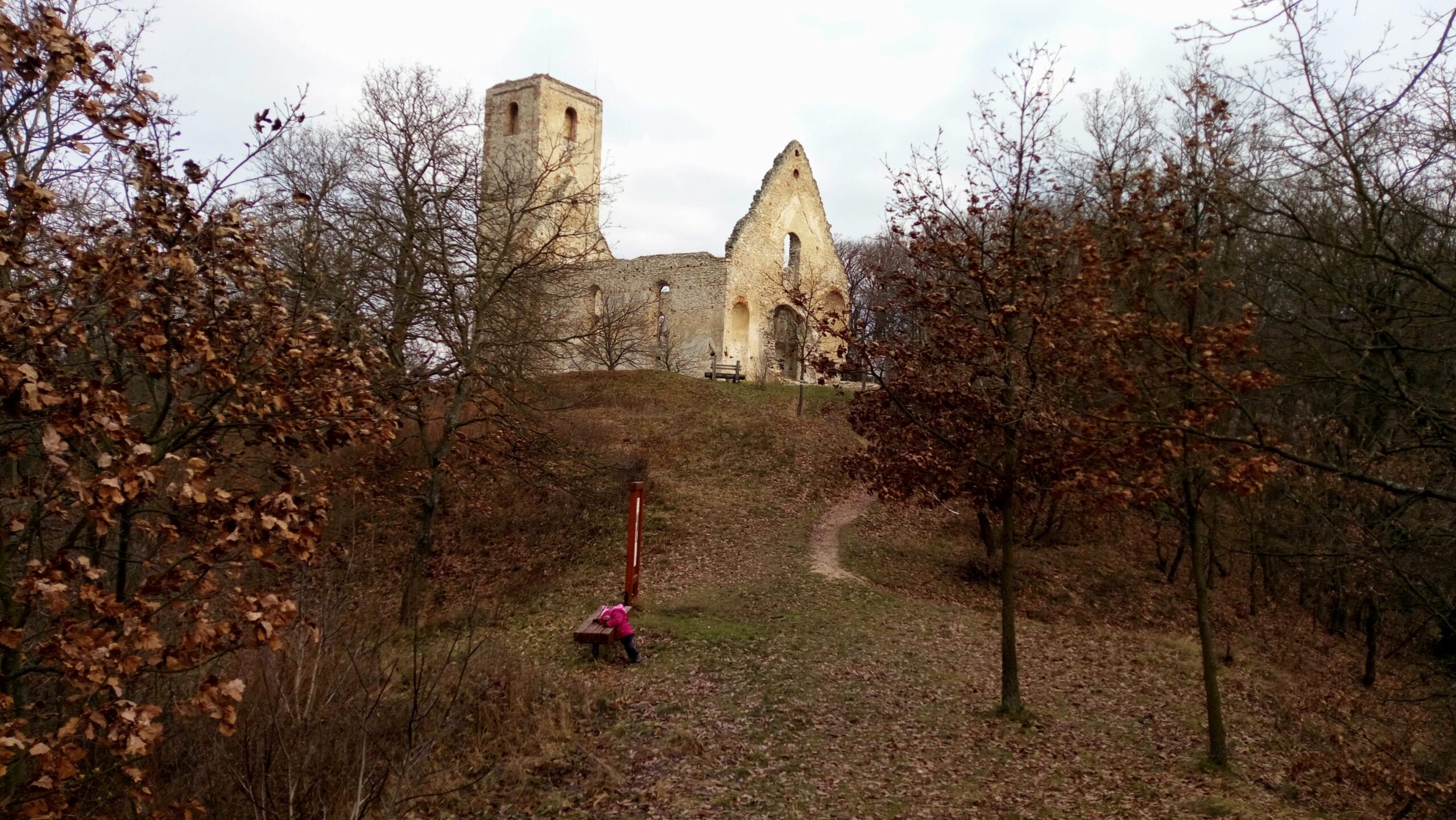 Cyklotrasa 5215 Mihalová – zrúcanina kláštora Sv. Kataríny – križovatka s Malokarpatskou cyklomagistrálou nad Dechticami